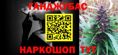 ПСИЛОЦИБИНОВЫЕ ГРИБЫ Новозыбков