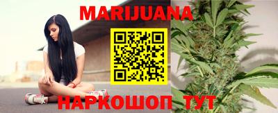 стаф Новокубанск