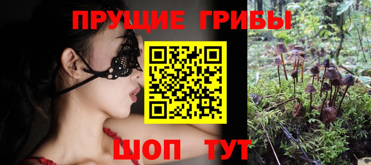 Тимашёвск  Псилоцибиновые грибы ЛСД  Вход с VPN 