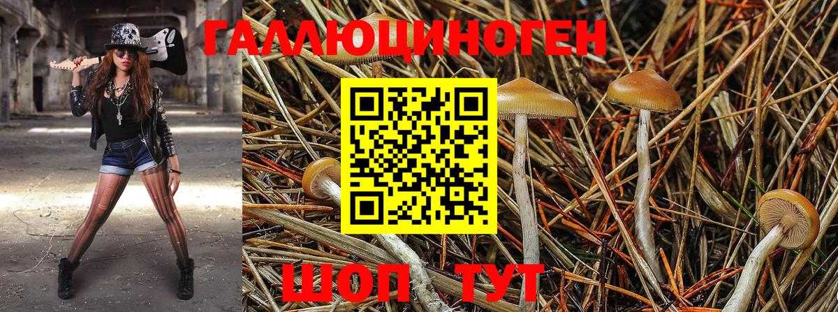 Псилоцибиновые грибы MAGIC MUSHROOMS Тимашёвск